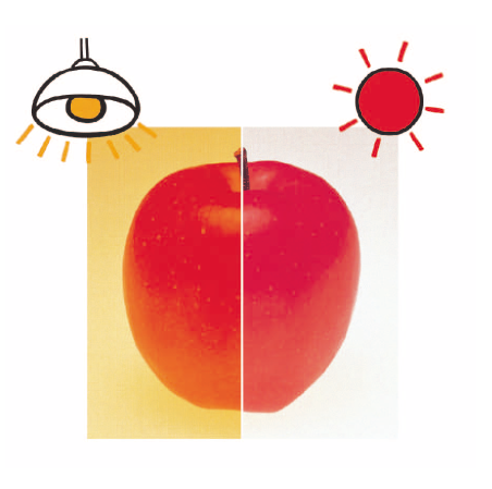 不同光源下的顏色 不同光源下的顏色